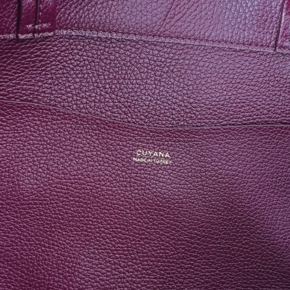 Cuyana Classic Easy Tote in Cherry NWT - Picture 12 of 15